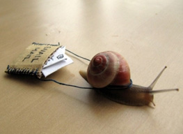 Snail Mail